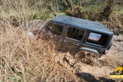 20250328_0949160-Copy