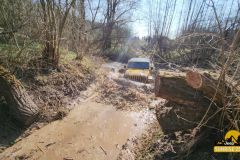 20250328_0949491-Copy