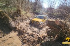 20250328_0949500-Copy