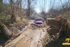 20250328_095047-Copy