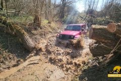 20250328_0950471-Copy