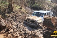 20250328_095112-Copy