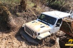 20250328_095113-Copy