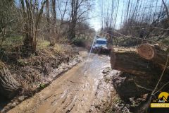 20250328_095155-Copy