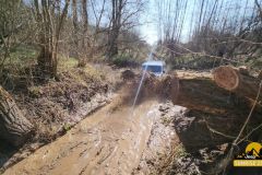 20250328_0951551-Copy