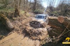 20250328_095157-Copy