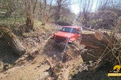 20250328_0952092-Copy