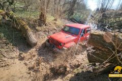 20250328_095210-Copy