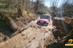 20250328_0955150-Copy