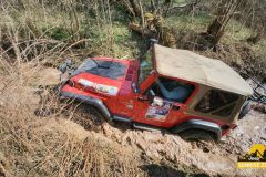 20250328_095518-Copy