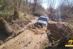 20250328_0955560-Copy