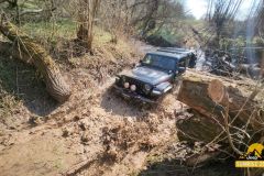 20250328_095608-Copy