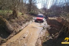 20250328_101115-Copy