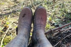 20250328_102335-Copy