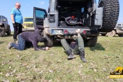 20250328_132936-Copy