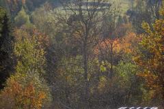 0808-Copy